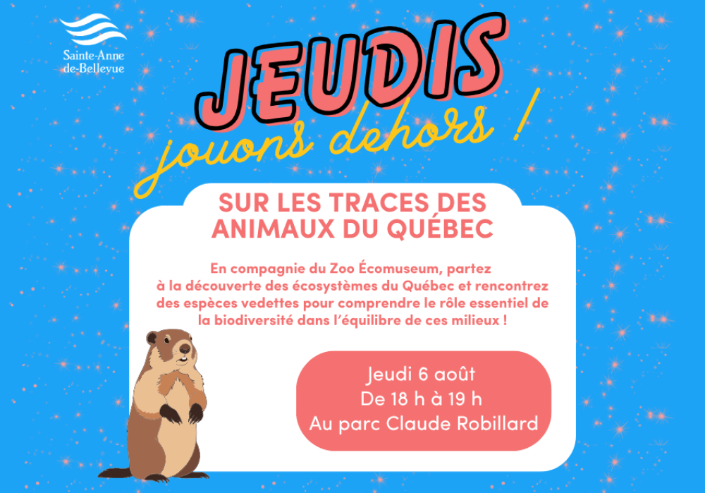 Jeudis Jouons Dehors : Sur les traces des animaux du Québec 