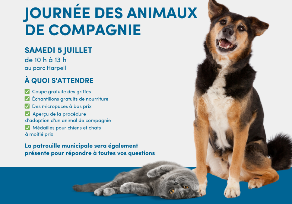 Journée des animaux de compagnie !