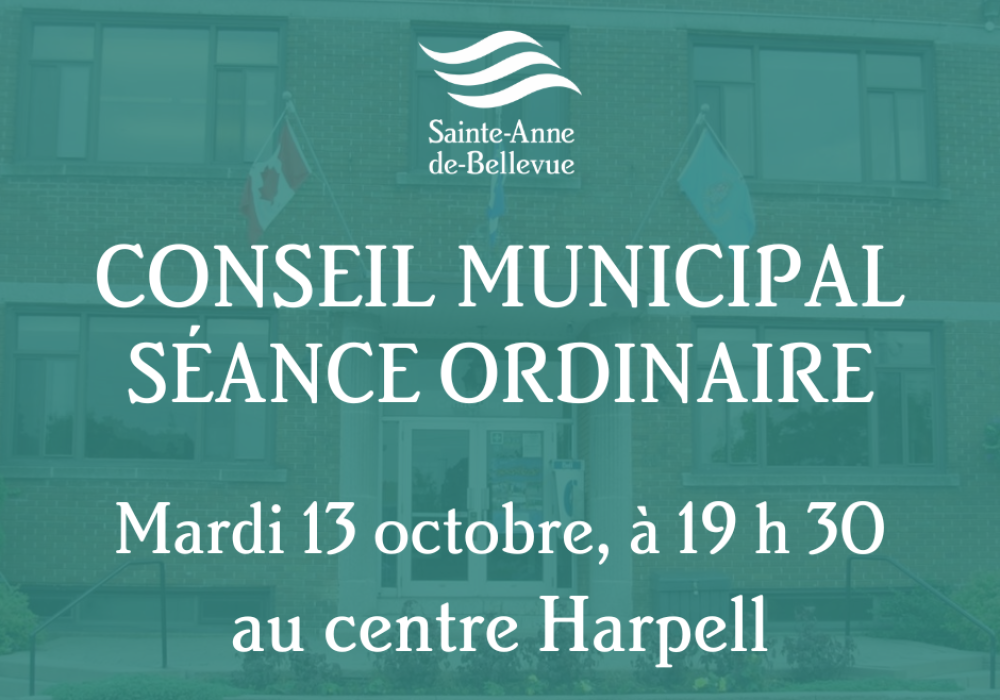 Conseil municipal : séance ordinaire