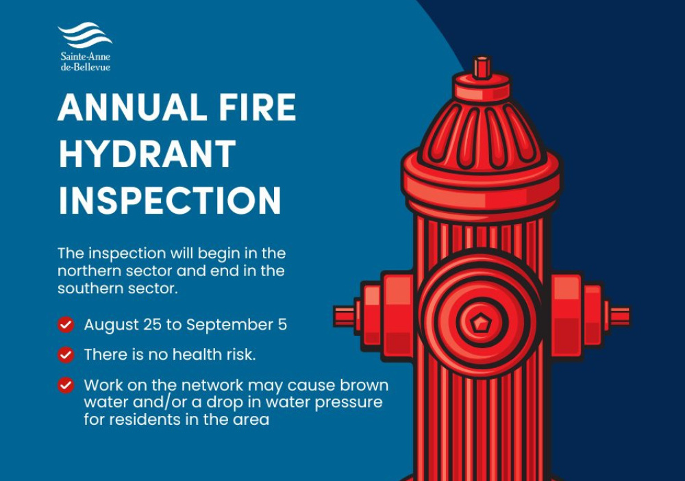 Annual fire hydrant inspection