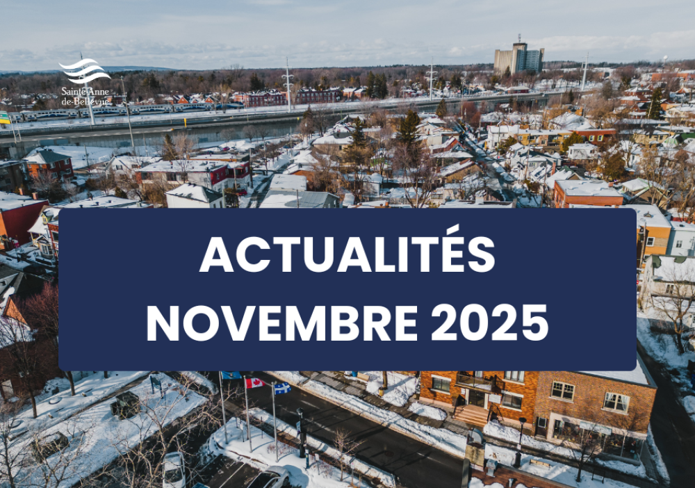 Infolettre des actualit&eacute;s du mois de novembre 2025