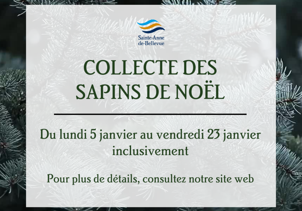 La collecte des sapins de No&euml;l