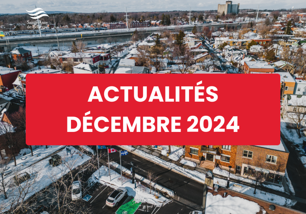 Infolettre des actualit&eacute;s du mois de d&eacute;cembre 2024