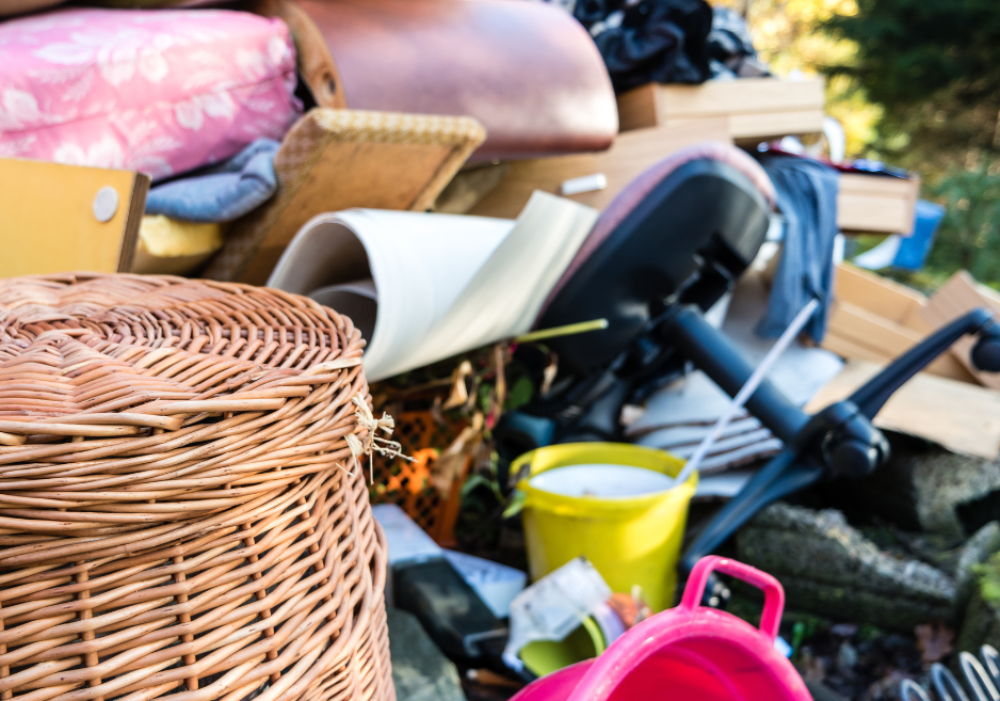 Grand m&eacute;nage du printemps
