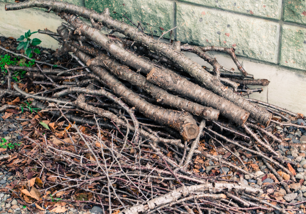 Report de la collecte des branches
