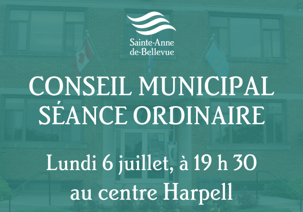 Conseil municipal : s&eacute;ance ordinaire du 6 juillet
